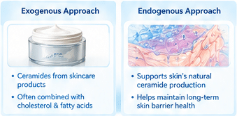 Applying ceramide-infused moisturizer for skin barrier repair and hydration